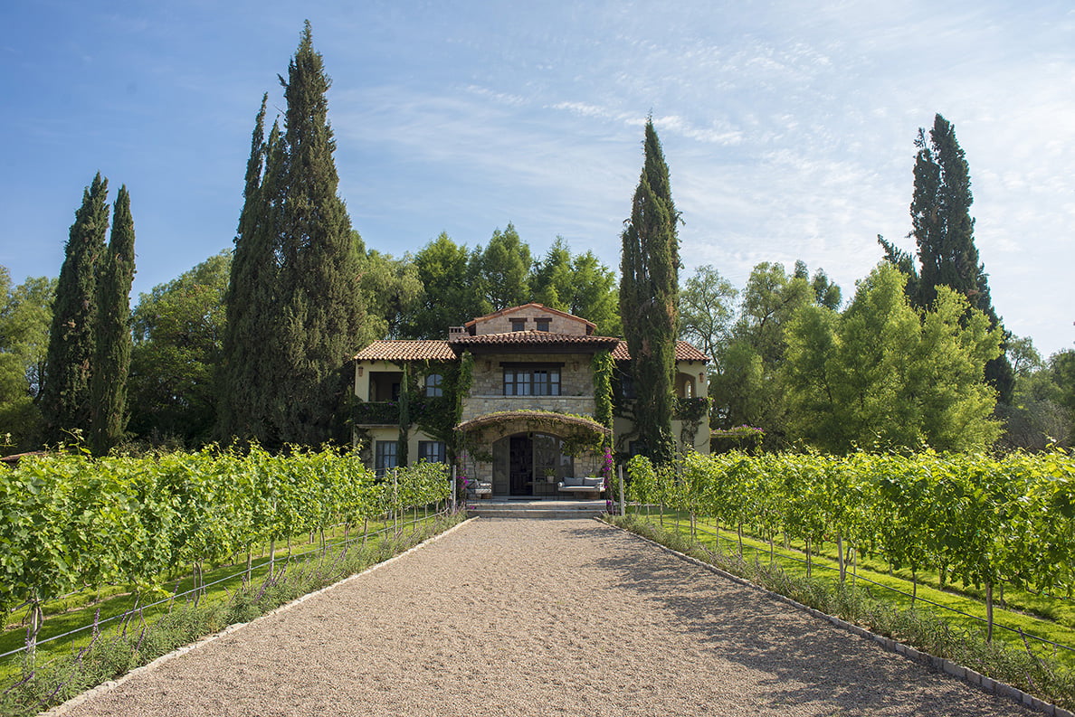 Wine tourism in Guanajuato: a buoyant industry, with a bright future!