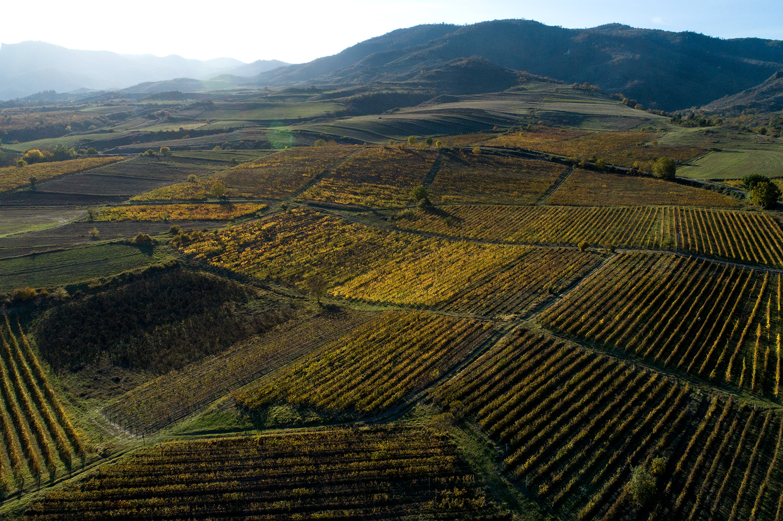 Armenia: The Oldest Wine Journey in the World