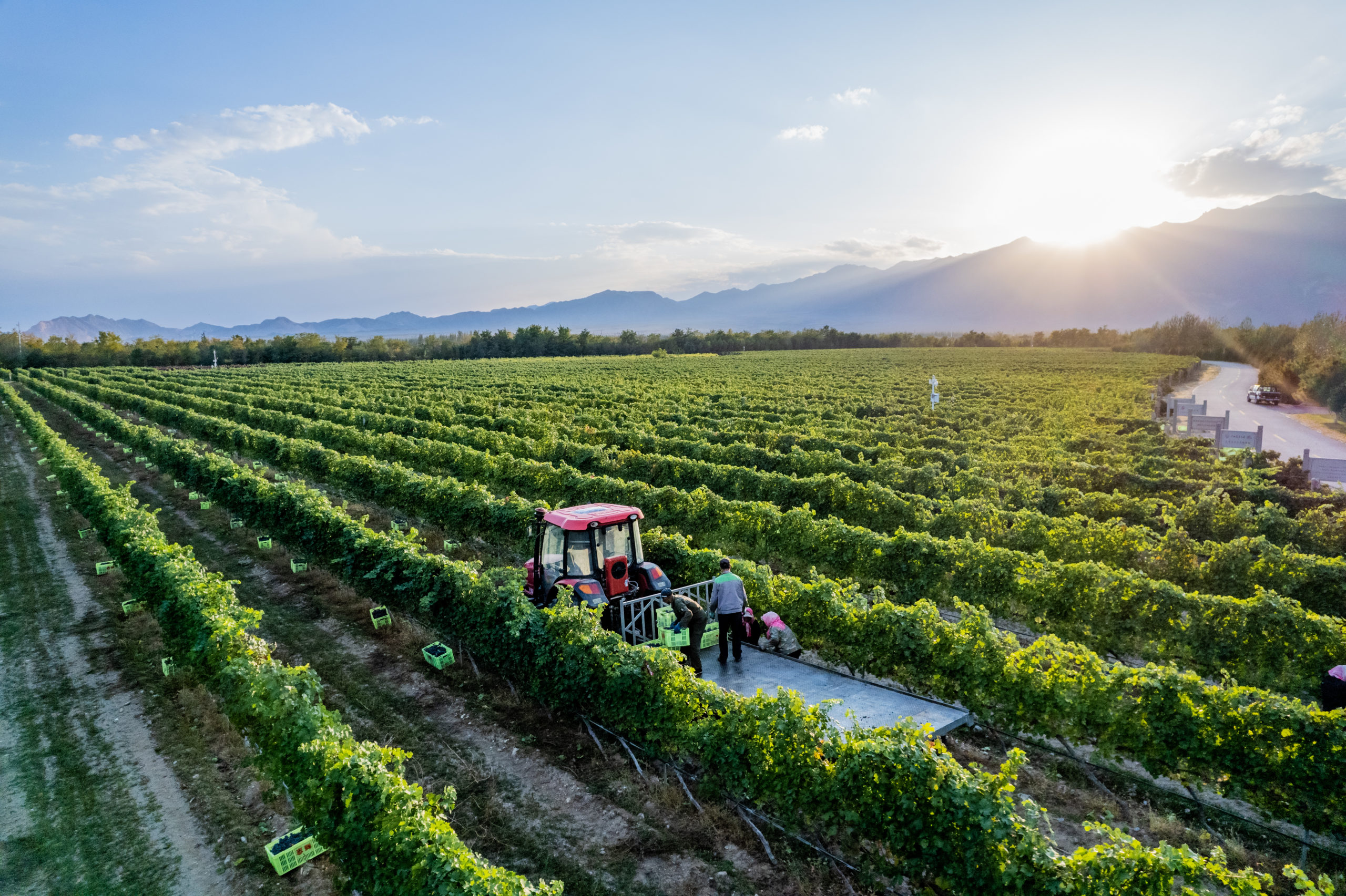 Yinchuan, Ningxia, en route vers l&rsquo;avenir