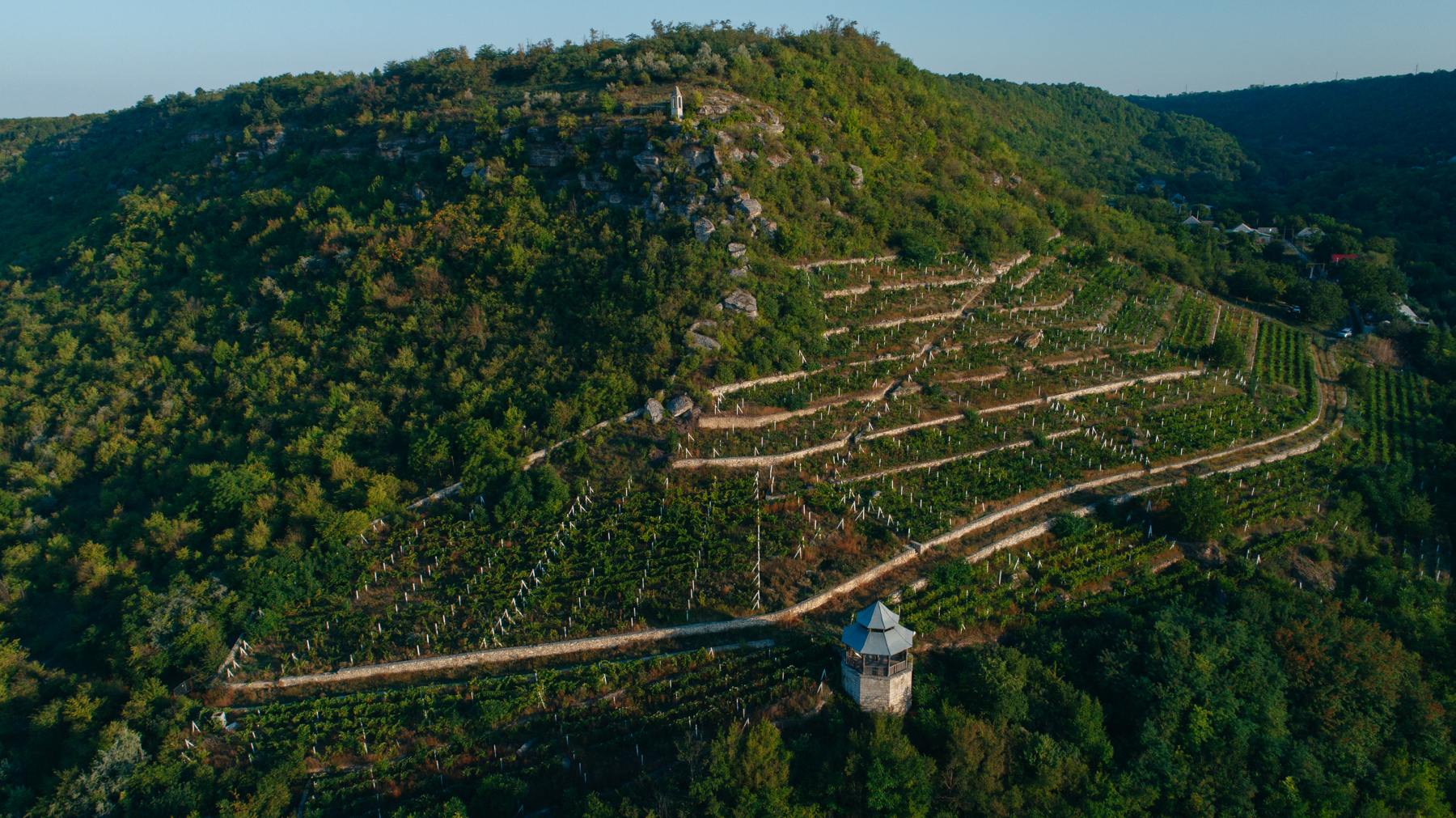 De l’héritage à la scène internationale : la révolution tranquille du vin moldave