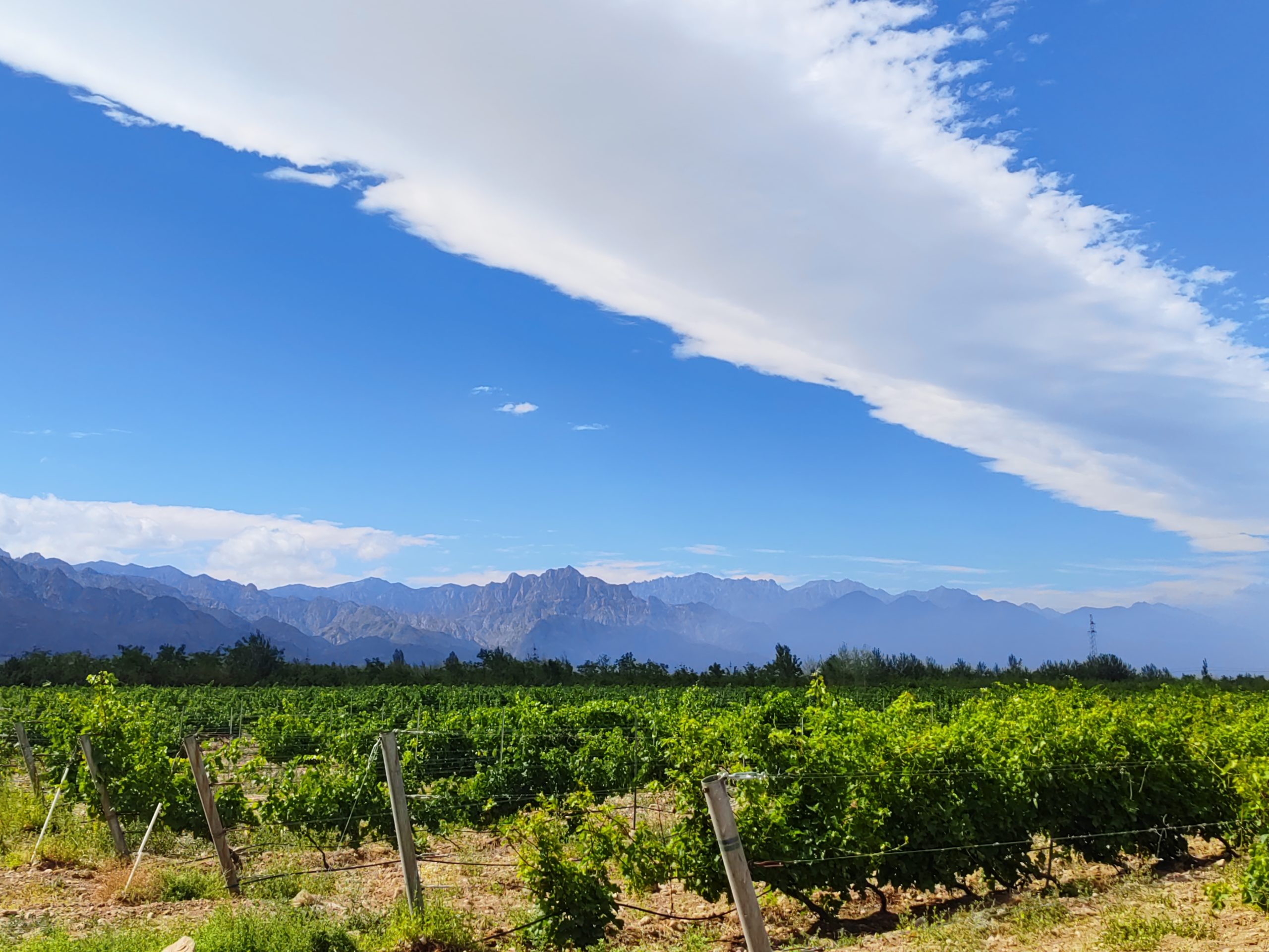 Ningxia, brillante et unique